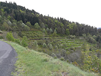 Antraigues sur Volane 2019